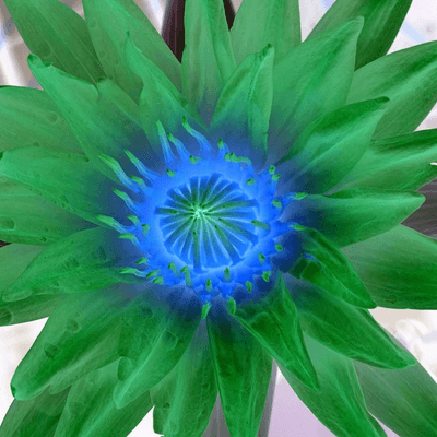 Image output for example 2